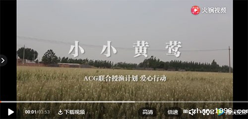 1561430311886668.jpg 18.jpg