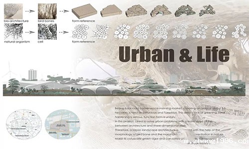 1561518251920907.jpg 未标题-1.jpg