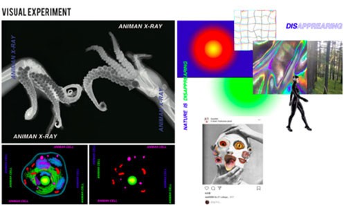 1609383320912521.jpg 640-(1).jpg