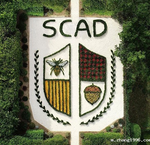 1611725978343606.jpg 640-(1).webp-(3).jpg