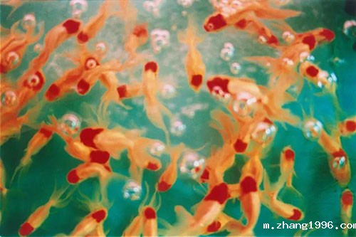 1613703622318100.jpg 640 (1).jpg