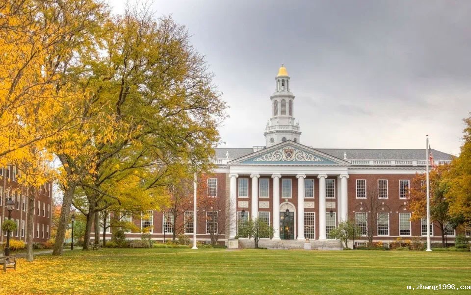 1741083141640041.jpg 3.jpg