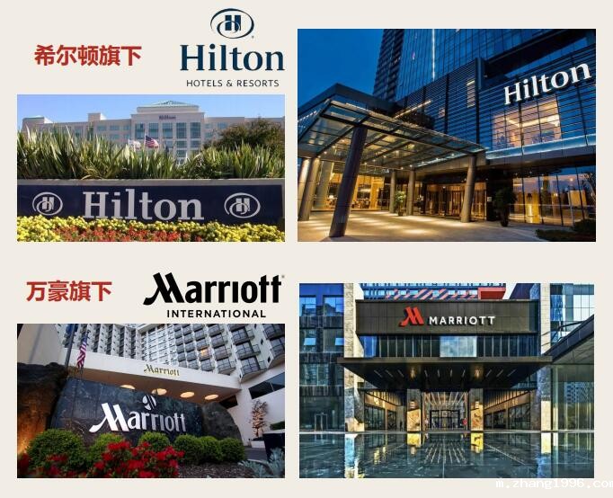 1741152942268227.jpg 2.jpg