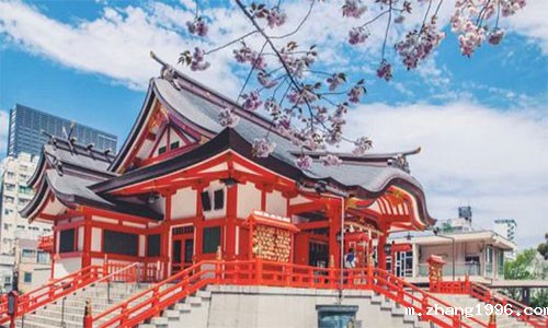 1552556347613273.jpg 未标题-4.jpg