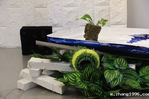 1561616864294583.jpg 7.jpg