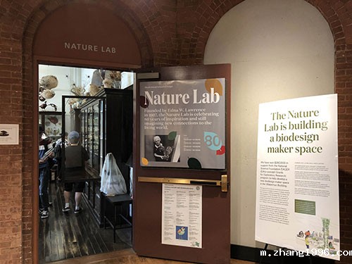 1561689906844207.jpg 4.jpg