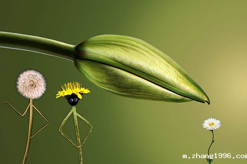 1562558429530046.jpg 16.jpg